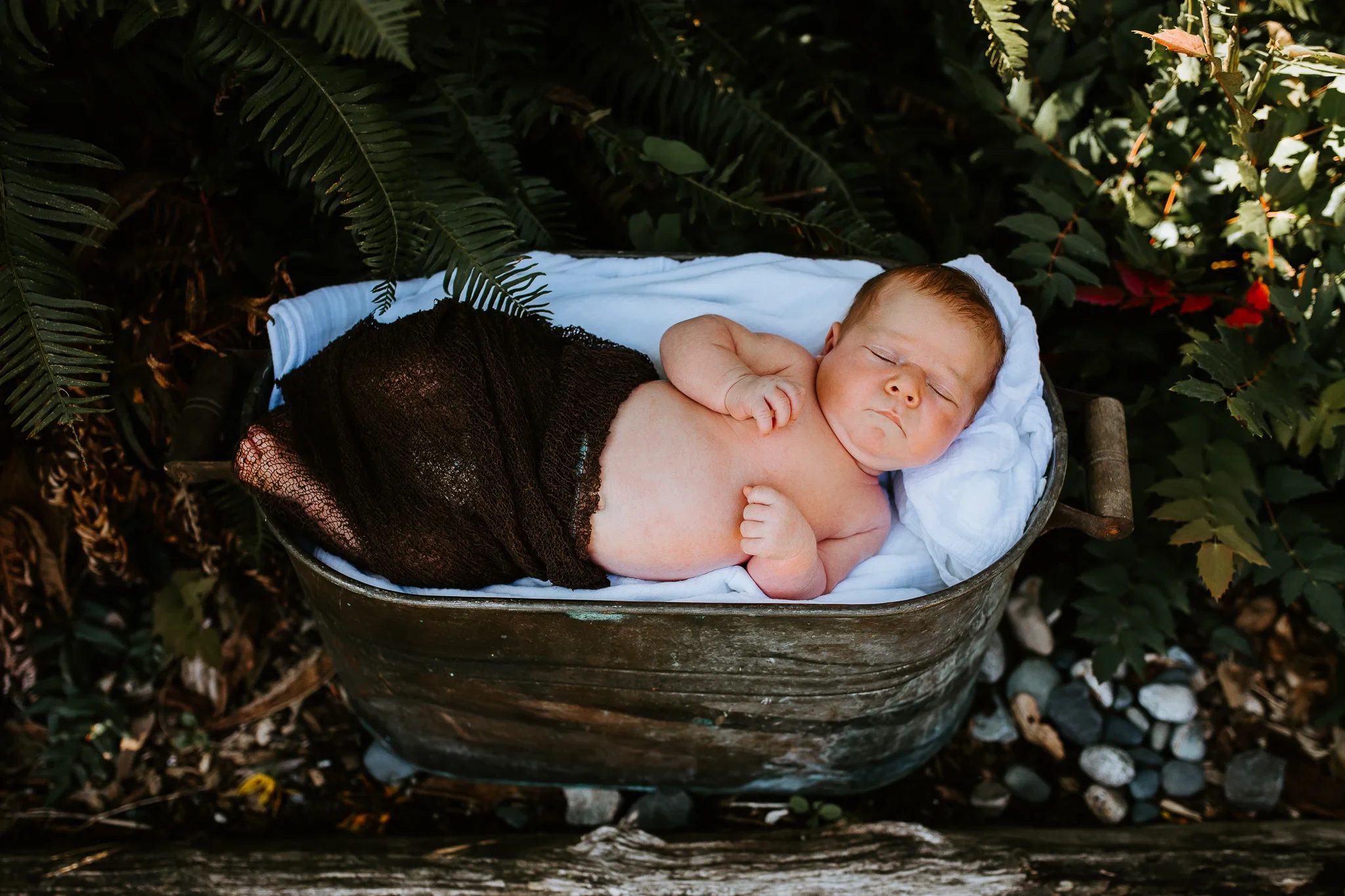 Sleeping baby rests in a fabric-lined basket among green ferns