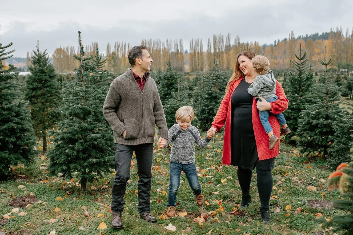 Two adults walk with two children between rows of evergreen trees