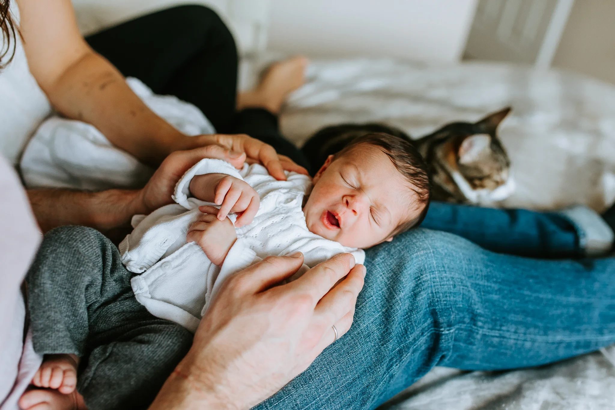 Sleeping baby rests across an adult’s lap with a cat nearby