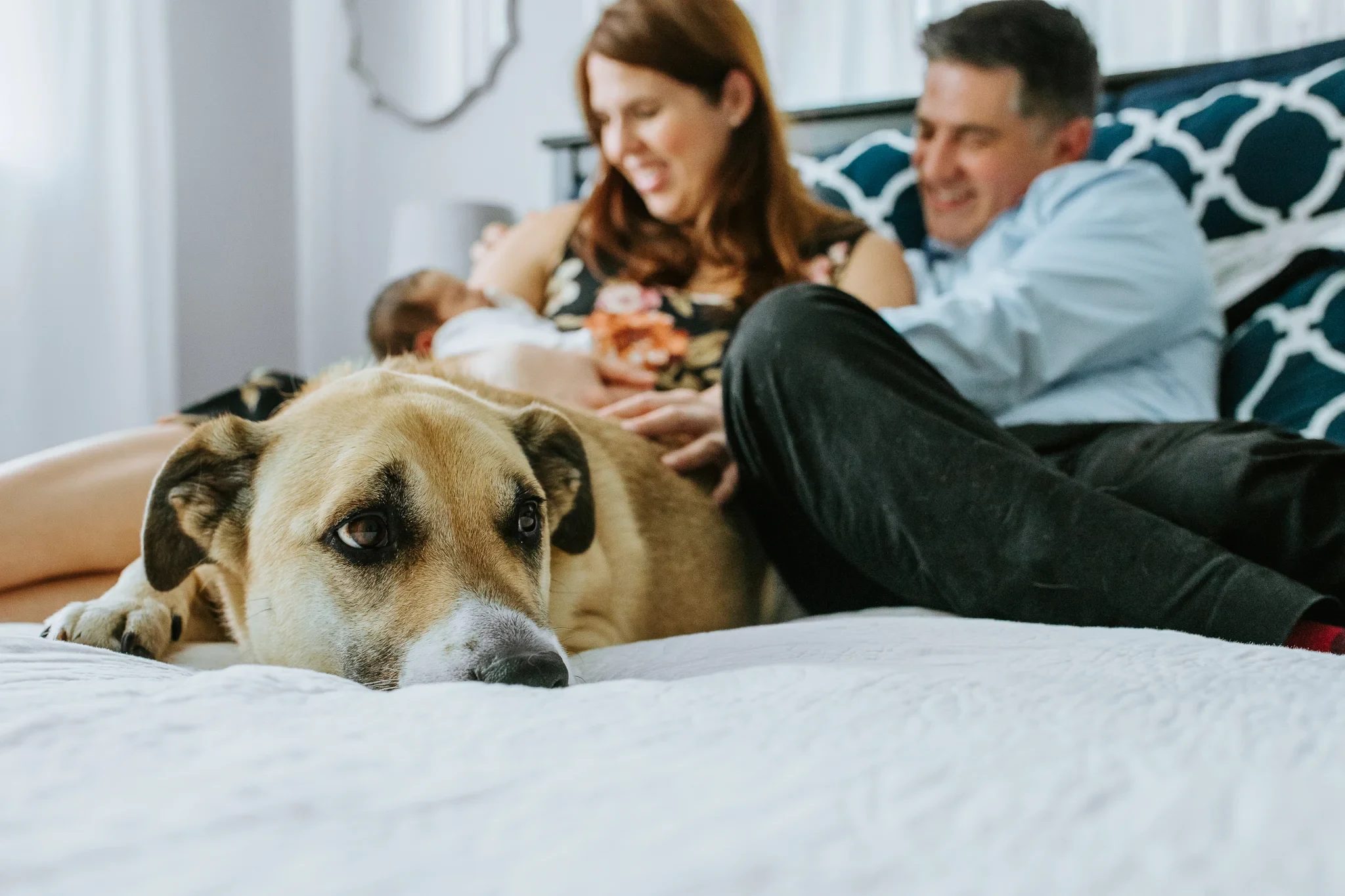 Dog lies at the foot of a bed while two adults sit with a baby