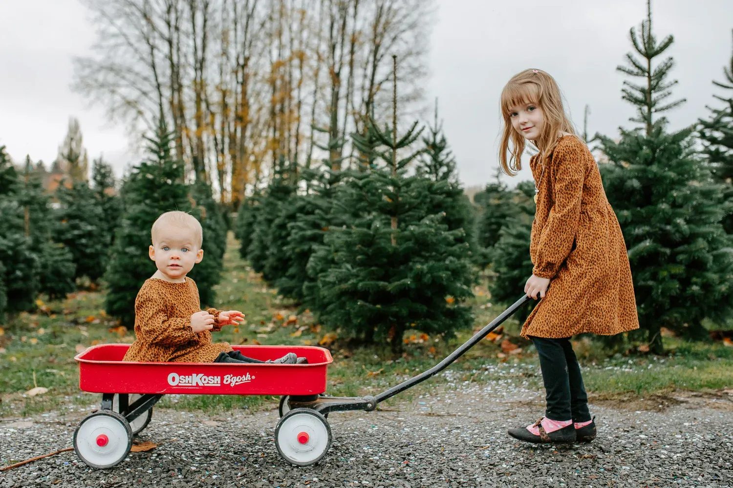 Child pulls a red wagon carrying a smaller child between evergreen trees