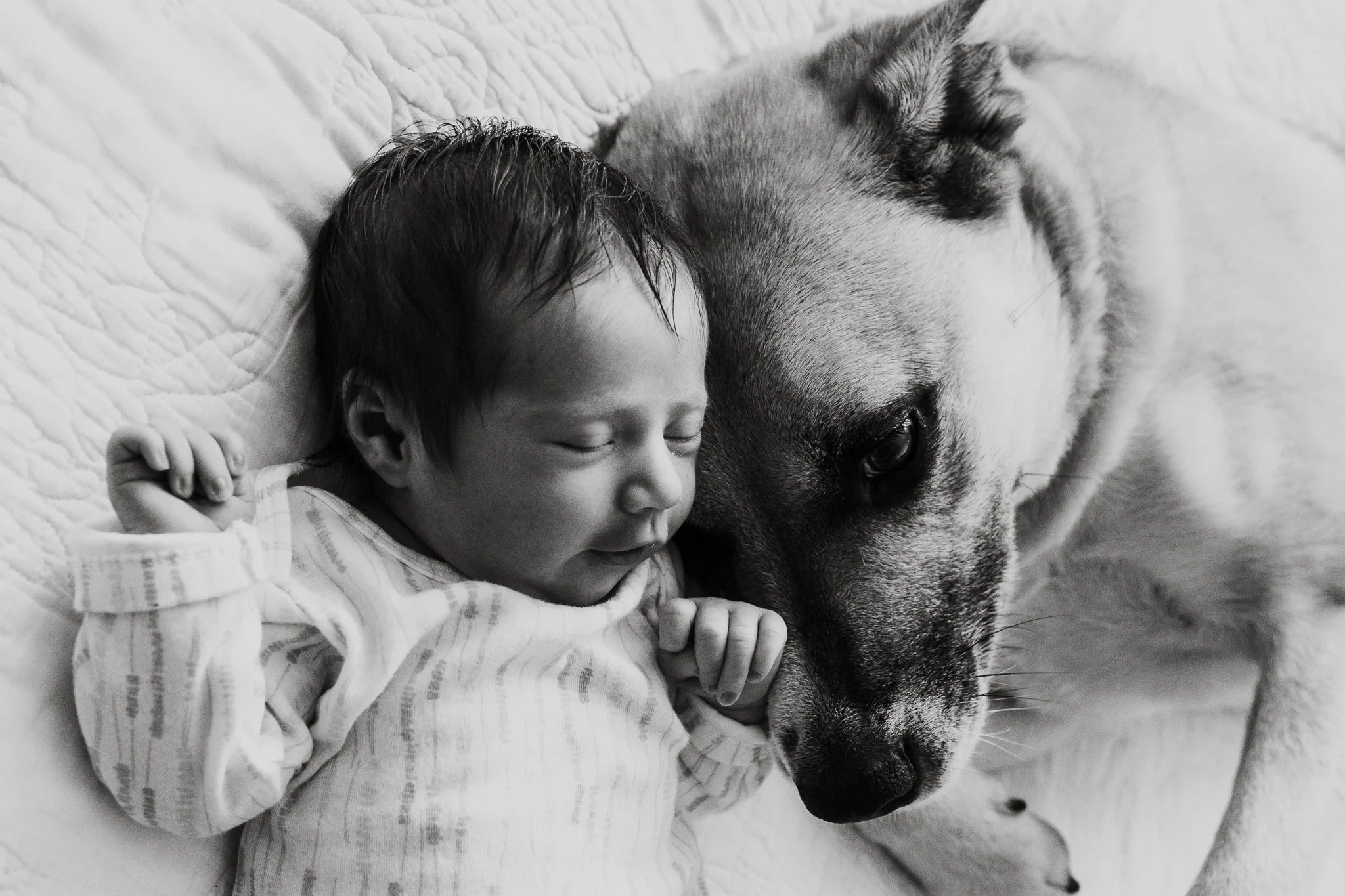 Black-and-white close-up of a baby resting against a bearded man’s face